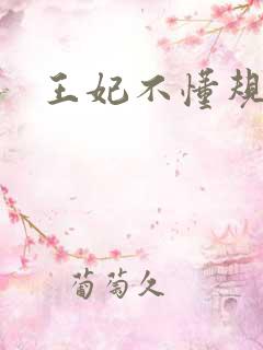 王妃不懂规矩