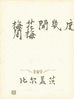 梅花开几度老张周梅