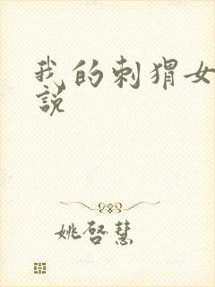 我的刺猬女孩小说