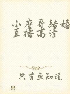 小么哥结婚视频直播高清