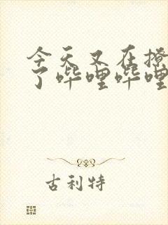 今天又在撩后妈了哔哩哔哩小说