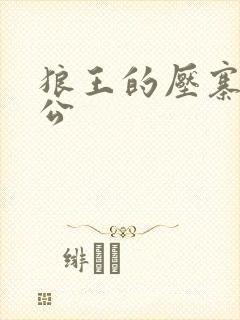 狼王的压寨小相公