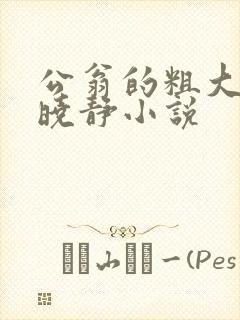 公翁的粗大放进晓静小说