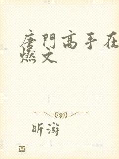 唐门高手在异世燃文