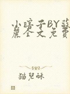 小瞎子BY苏玛丽全文免费笔趣阁