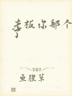 老板你那个太长了