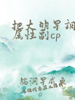 把大明星调成专属性副cp