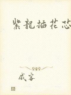 紫龙插花芯方正