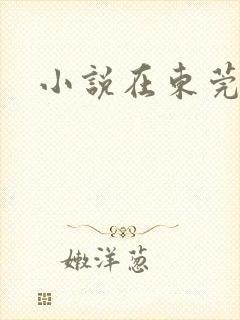 小说在东莞