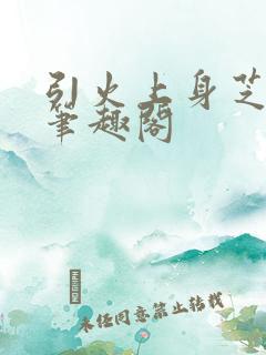 引火上身芝麻糖笔趣阁