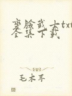 变脸武士txt全集下载