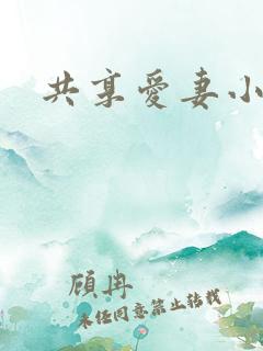 共享爱妻小说