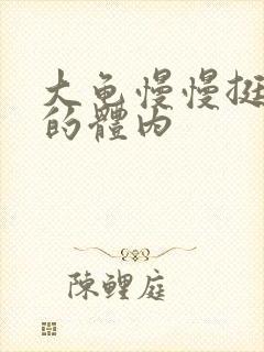 大龟慢慢挺进我的体内