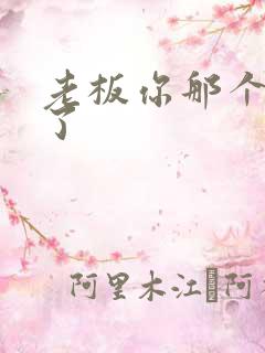 老板你那个太长了