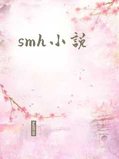 smh小说