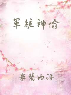军统神偷