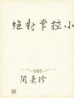 绝对掌控小说