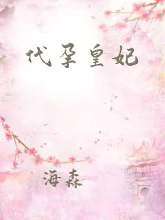 代孕皇妃