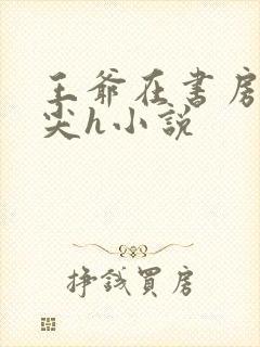 王爷在书房含乳尖h小说