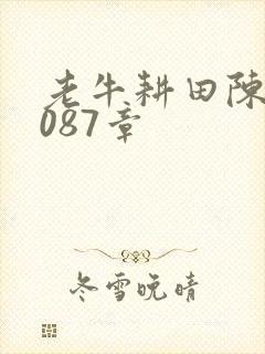 老牛耕田陈雪1087章