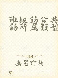 班级的公共小0的所属类型