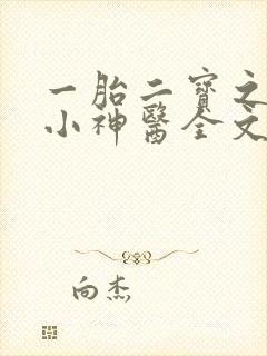 一胎二宝之弃妃小神医全文免费阅读