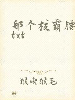那个校霸腰好软txt