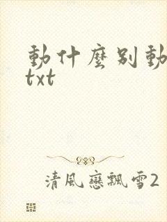 动什么别动感情txt