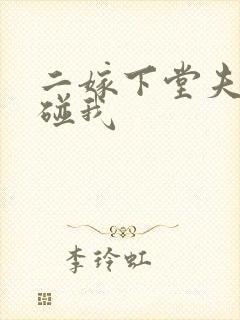 二嫁下堂夫君别碰我