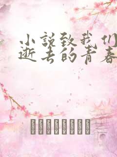 小说致我们终将逝去的青春