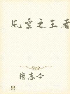 风云之王者人生