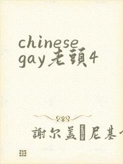 chinesegay老头4