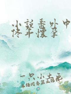 小说番外中结局佟年怀孕