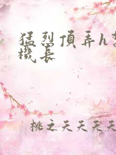 猛烈顶弄h禁欲机长