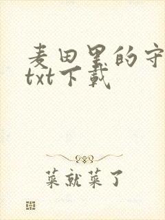 麦田里的守望者txt下载