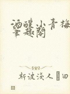 酒酿小青梅po笔趣阁