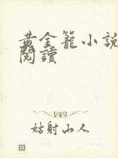 黄金笼小说免费阅读