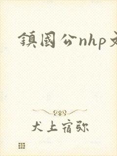 镇国公nhp文