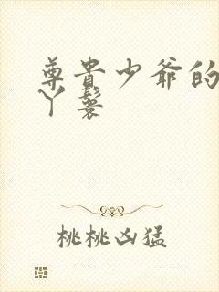 尊贵少爷的大牌丫鬟