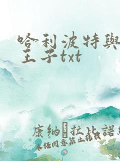 哈利波特与混血王子txt