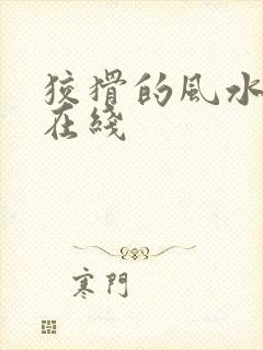 狡猾的风水相师在线