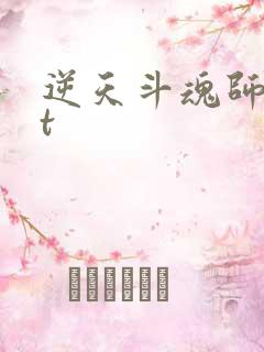 逆天斗魂师txt