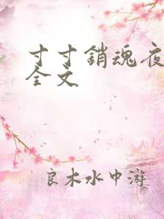 寸寸销魂夜春光全文