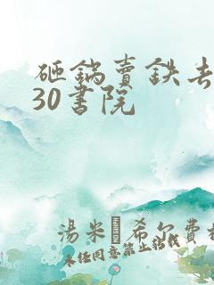 砸锅卖铁去上学30书院