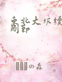 东北大坑续集未删节