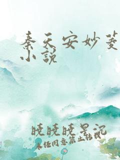 秦天安妙菱修仙小说