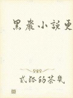 黑岩小说更新吧