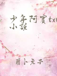 少年阿宾txt小说