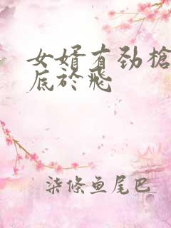 女婿有劲枪枪到底于飞