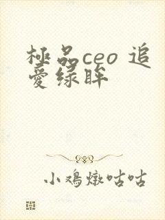 极品ceo 追爱绿眸
